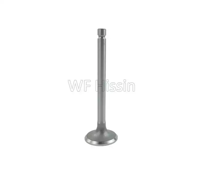 Exhaust valve JD tongue